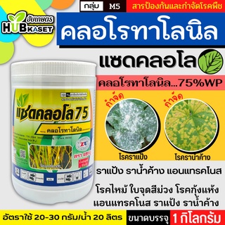 แซดคลอโล75 1กิโลกรัม สารคลอโรทาโลนิลป้องกันกำจัดโรคราน้ำค้างในคะน้าที่มีสาเหตุจากเชื้อรา