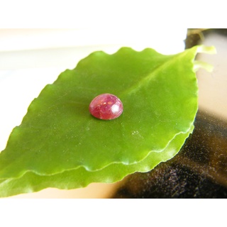 ทับทิม พลอย แดงแท้ หลังเบี้ย เผาเก่า Ruby Cabochon 1 เม็ด 1.00 กะรัต 6.00 มม mm NATURAL RUBY FROM AFRICA FREE SIZES