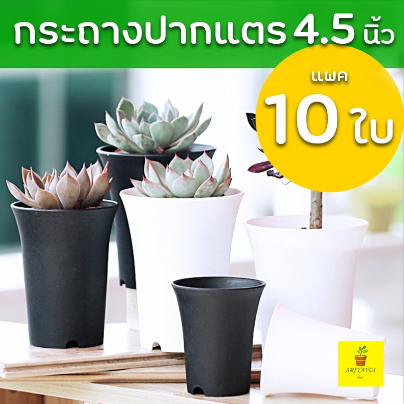 กระถางปากแตร 4.5" (4.5นิ้ว) พลาสติกทรงสูง ใส่แคคตัส กระบองเพชร  10ใบ