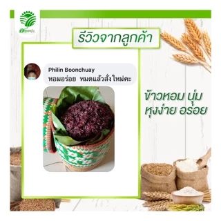 *ค่าส่งถูกที่สุด*ข้าวกล้องลืมผัว(ข้าวก่ำ) 1 กก. ปลอดสาร