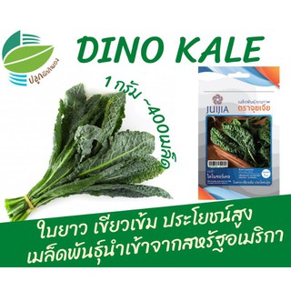 ไดโนซอลเคล (Kale Lacinato)​ ~350 เมล็ด ผักเคล คะน้าใบหยิก