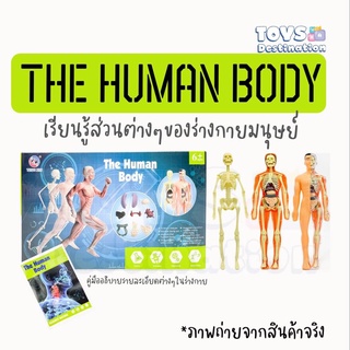 ✅พร้อมส่งในไทย✅The Human Body