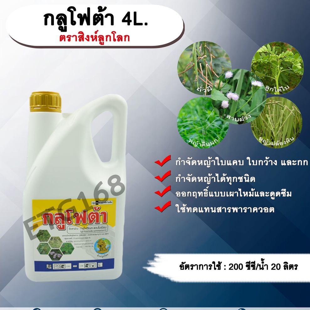 กลูโฟต้า 4L. ตราสิงห์ลูกโลก กลูโฟซเนตแอมโมเนียม สารกำจัดวัชพืช กำจัดหญ้าใบแคบ ใบกว้าง กก หญ้าทุกชนิด