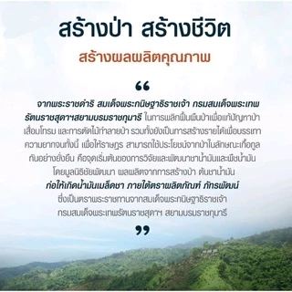 น้ำมันเมล็ดชา ตราภัทรพัฒน์ EXP : 12/2027 ขนาด 250 มล. โฉมใหม่ !!! ( Camellia Oleifera Seed Oil ) 250 ml.