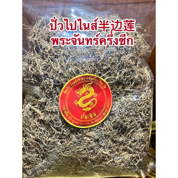 ปั่วไปไนส์ 半边莲ปั่วเปี่ยนไน้ (พระจันทร์ครึ่งซีก)