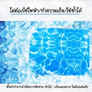 ที่นอนเจลเย็น สำหรับสัตว์เลี้ยง แผ่นทำความเย็น (Pat Cool mat) 50x60
