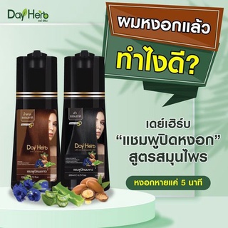 DayHerb สีน้ำตาล แชมพูปิดผมขาว สมุนไพรแท้ ปิดหงอก ลดหงอก ผมดำใน 5 นาที