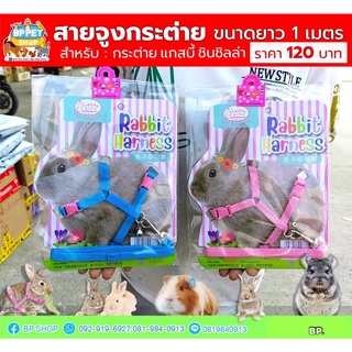 สายจูงสำหรับกระต่าย แก๊สบี้ ชินชิล่า แพรี่ด๊อก rabbit harness (chong boer  be-td01) ยาว 1 เมตร