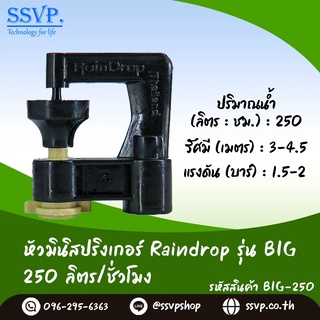 สปริงเกอร์ Raindrop รุ่น BIG-250 รูน้ำสีครีม ปริมาณน้ำ 250 ลิตร/ชั่วโมง บรรจุ 100 ตัว