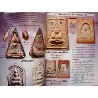 หนังสือพระเครื่องไทยพระ หลวงพ่อฤาษีลิงดำ วัดท่าซุง