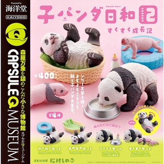 (มีครบชุดพร้อมส่ง) Gachapon กาชาปองลูกแพนด้า Kaiyodo capsule Q museum Panda Baby โมเดลสัตว์