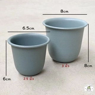 🐝 กระถางแคคตัส กระถางกระบองเพชร กระถางพลาสติก ทรงกลม ขนาด 2.5,3 นิ้ว 4 สี ขาว ดำ เทา อิฐ 🐝