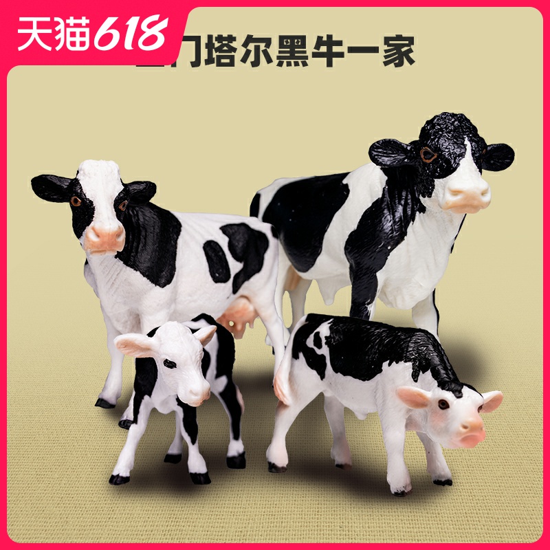 My Image 35
