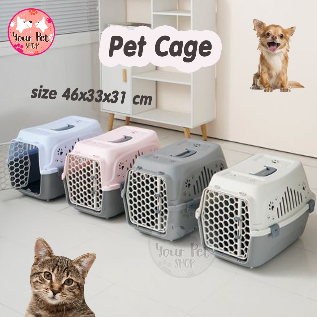 กรงสัตว์เลี้ยงสำหรับเคลื่อนย้าย ขึ้นเครื่องบิน กรงขึ้นเครื่อง Pet cage สก็อตติช โฟลด์ เปอร์เซีย สีสวาด ขาวมณี วิเชียรมาศ