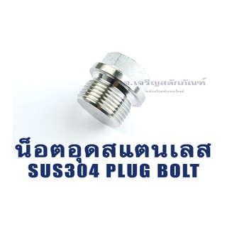 ปลั๊กอุดสแตนเลส ทรงมีบ่าหัวเหลี่ยม น็อตอุดขนาด 1/8" 1/4" 3/8" 1/2" 3/4" 1" M10x1.0 Stainless Steel Plug Bolt