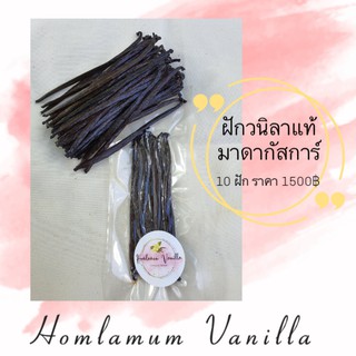 ฝักวนิลาแท้ มาดากัสการ์ เกรด A (แพ๊ค 10 ฝัก) ฝักวานิลลา vanilla