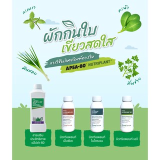 Amwayของแท้ฉลากไทย นิวทริเแพลนท์ชอยส์ พลัส เอจี NPK ไนโตรเจน ชุดปลูกผักสำหรับคนเมือง ราคา 1199 บาท