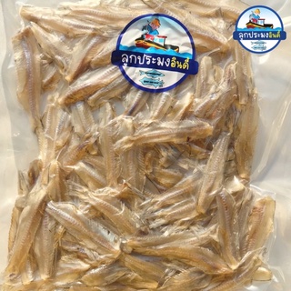 ปลาไส้ตัน กลม รสจืด ตากแห้ง สะอาด อร่อย 100g