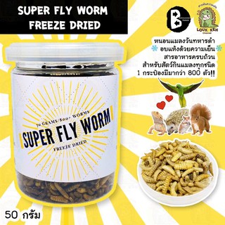 หนอนแคลเซียม+โปรตีน Super Fly