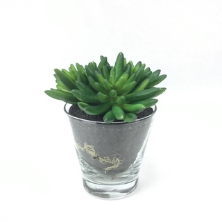 OrientalFineArt Cactus กุหลาบหิน แคคตัสปลอมจัดในแก้ว สำหรับประดับตกแต่ง(GCN-153-N)