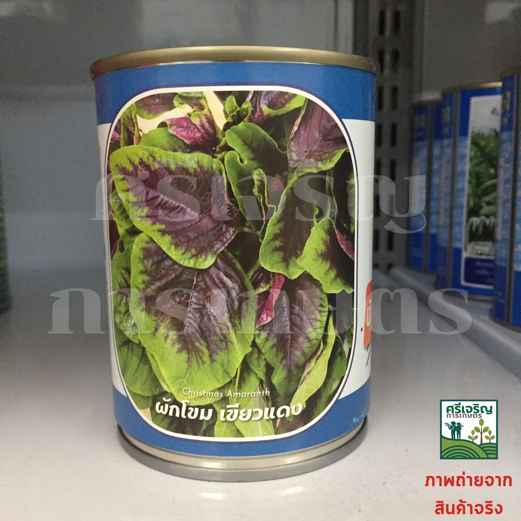 เมล็ดผักโขม เขียวแดง 80g ตราลูกโลก