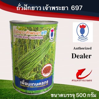 เมล็ดพันธุ์ ถั่วฝักยาวเจ้าพระยา697 500g