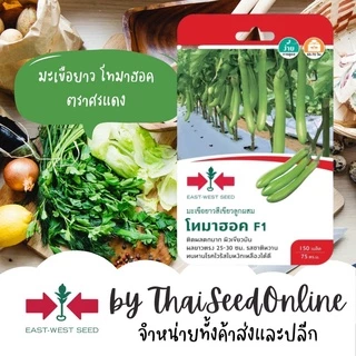 GGEW เมล็ดพันธุ์ มะเขือยาวสีเขียวลูกผสม โทมาฮอค F1 ตราศรแดง 150 เมล็ด ตราศรแดง Long Green Eggplant