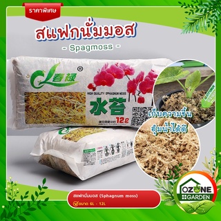 สแฟกนั่มมอส Sphagnum moss 6L และ 12L วัสดุปลูก เก็บความชุ่มชื้น วัสดุปลูกต้นไม้ วัสดุให้ความชุ่มชื้น