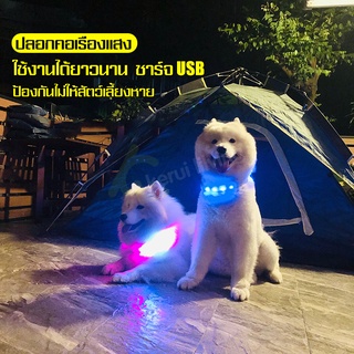 ปลอกคอเรืองแสง Glow collar ปลอกคอสัตว์เลี้ยงเรืองแสง ปลอกคอสุนัข มีไฟ LED  เรืองแสง ปลอกคอ ชาร์จ USB ปลอกคอแมว