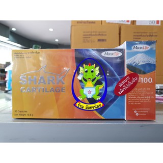 SHARK CARTILAGE ของ MaxxLife กล่อง 30 แคปซูล ( 1 กล่องหรือแพ็คคู่ ) ลดการเสียดสีระหว่างข้อ ลดการอักเสบของข้อต่อ