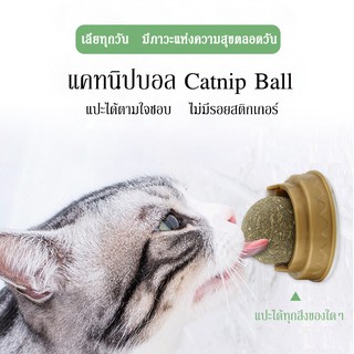 แคทนิปบอล Catnip Ball กัญชาแมว แคตนิป  มิ้นท์  สมุนไพรแมว หญ้าแมว