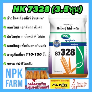 ข้าวโพดเลี้ยงสัตว์ เอ็นเค NK 7328 เบอร์2 (3.5 หุน) 10 กิโลกรัม ซินเจนทา ข้าวโพดสัตว์ เมล็ดกลมกลาง ลอตใหม่ งอกดี ฝักใหญ่