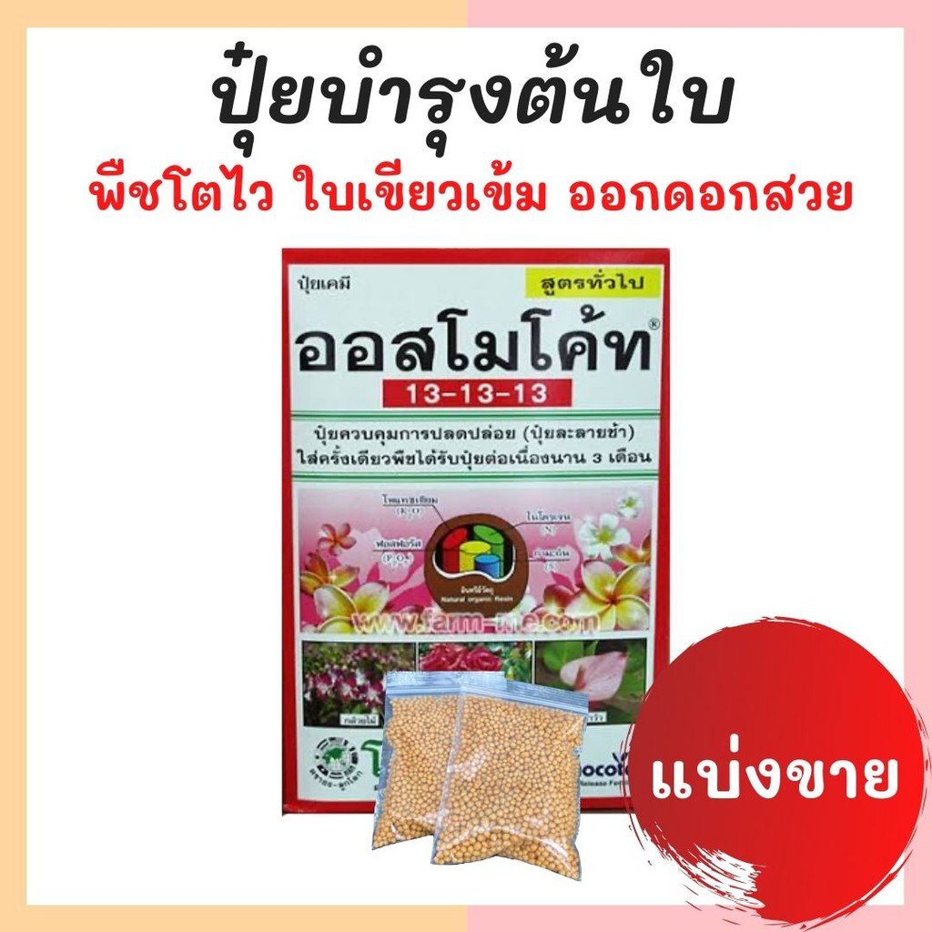 แบ่งขาย!! ปุ๋ยออสโมโค้ท (Osmocote)  ขนาด 10 กรัม สูตร 13-13-13 มี2สูตร ละลายช้า และละลายเร็ว