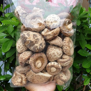เห็ดหอมญี่ปุ่นแห้ง จัมโบ้ / ปกติ​ คัดพิเศษ เกรด​A​ [Shitake Mushroom] 500 กรัม