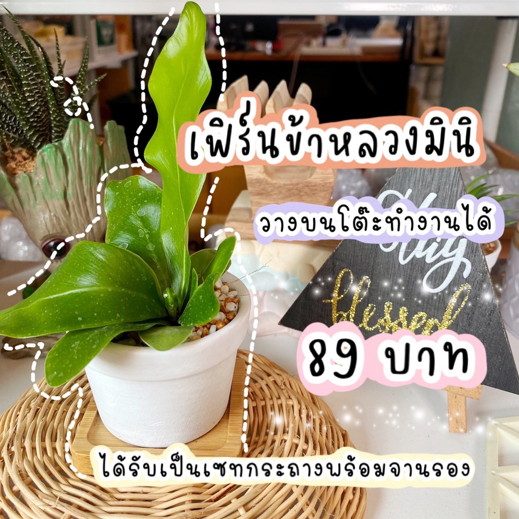 My Image 65