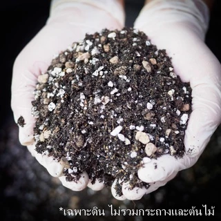 (ถุง4โล) 🌵ดินปลูกแคคตัสราคาส่ง 20บาท/กก. พร้อมปลูก ระบายน้ำดี มีกันเพลี้ย รา ดินปลูกกระบองเพชร 4kg