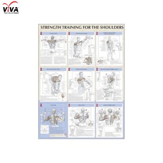 VIVA โปสเตอร์สีประกอบการฝึกกล้ามเนื้อไหล่- Strenght training for the shoulders poster ขนาด24x31"