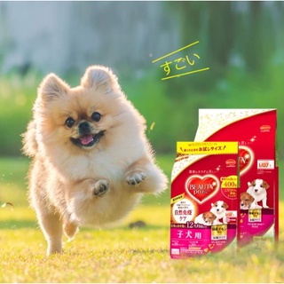 อาหารสุนัข Beauty Pro Puppy สูตรลูกสุนัข  (สำหรับสุนัขทุกสายพันธุ์)