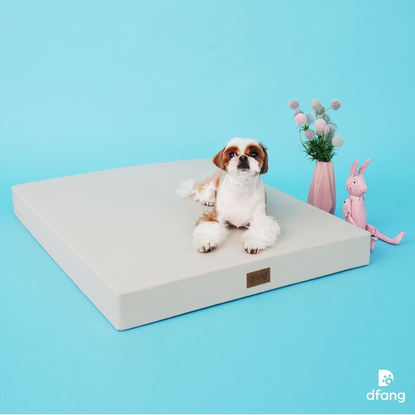 Dfang Petplay Baseport 1 layer