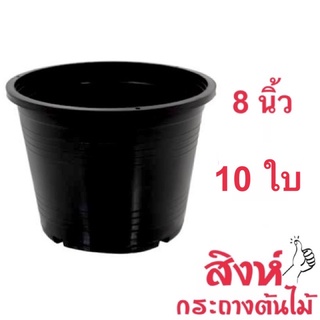 กระถางดำ 8 นิ้ว ชุด 10 ใบ ราคาถูก