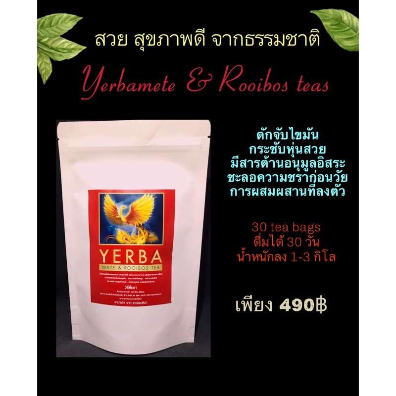 ชา ลดน้ำหนัก ดื่มเพื่อสุขภาพ Yerba mate&Rooibos teas การผสมผสานที่ลงตัว ทานได้ 1 เดือน ลง 1-3 โล 30ซ