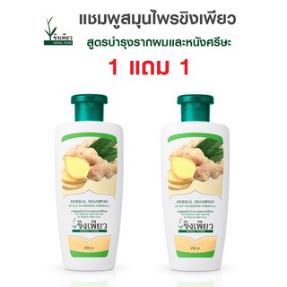 ขิงเพียวแชมพูซื้อ 1 แถม 1 สูตรบำรุงรากผมและหนังศรีษะ ขนาด 250 ml. ช่วยเรื่องลดผมมัน แก้รังแค  เก็บเงินปลายทางได้ค่ะ