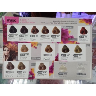 ครีมเปลี่ยนสีผม ไบโอวูเมนส์ เมจิค 100 มล. Biowoman Magic Hair Color 100ml.