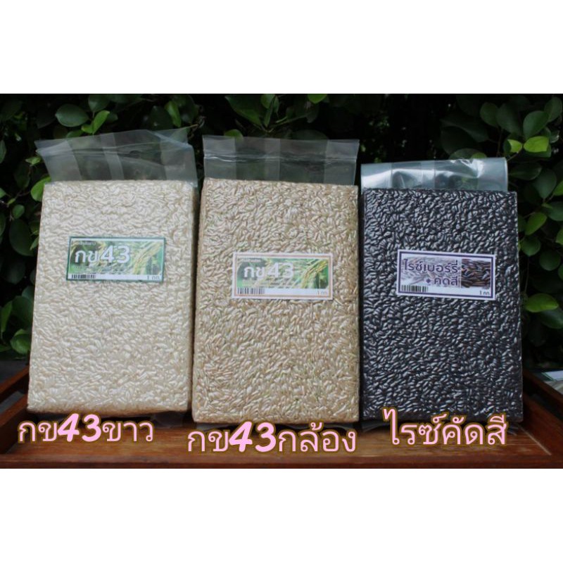 ข้าวเซต/ข้าวกข43กล้อง/ไรซ์​เบอร์​รี่​/กข43ขาว