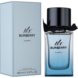 Mr.Burberry Element EDT 100 ml