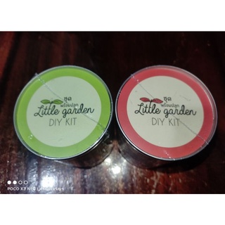 ชุดพร้อมปลูก Little gaeden DIY KIT