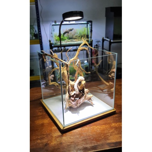 ลูกบาศก์ตู้ปลาสําหรับ Aquascape (เฉพาะถัง)