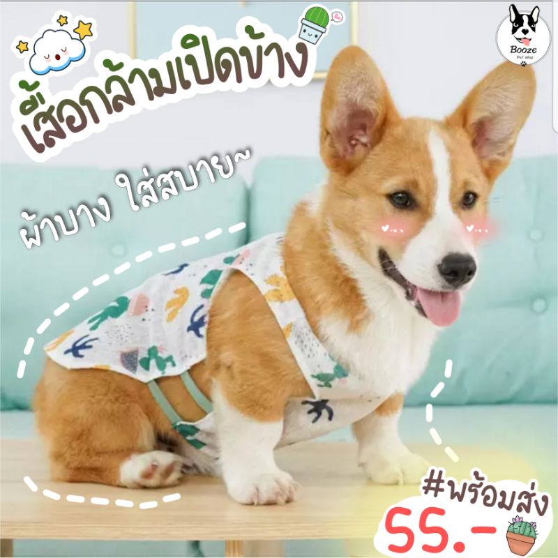 ร้านไทย เสื้อหมา เสื้อแมว ผ้าบาง เปิดข้าง ใส่สบายไม่ร้อน เหมาะกับหน้าร้อนมากๆ
