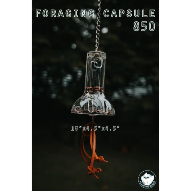 ของเล่นนกแก้ว Foraging Capsule