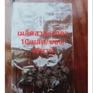 เมล็ดพันธุ์สาลังกา(10เมล็ด/ซอง/99บาท)